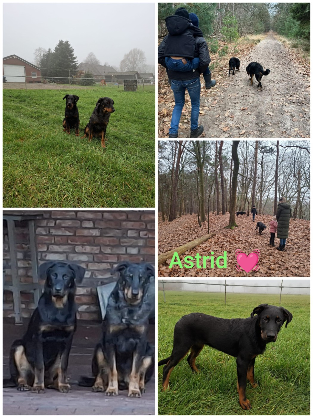 6 mois pour les bébés