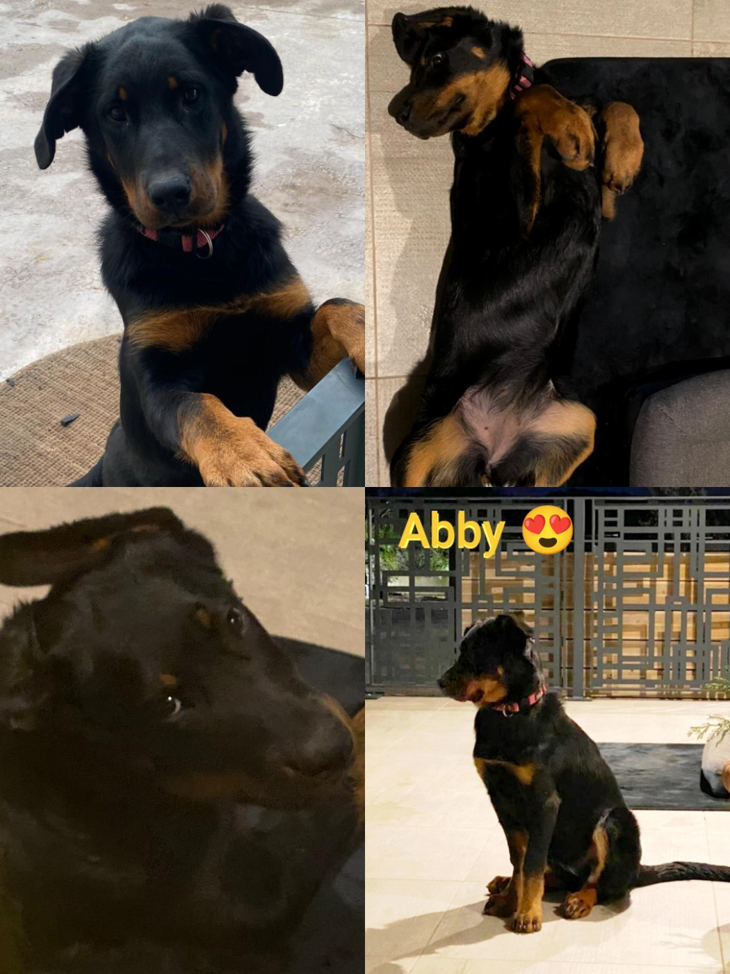 6 mois pour les bébés