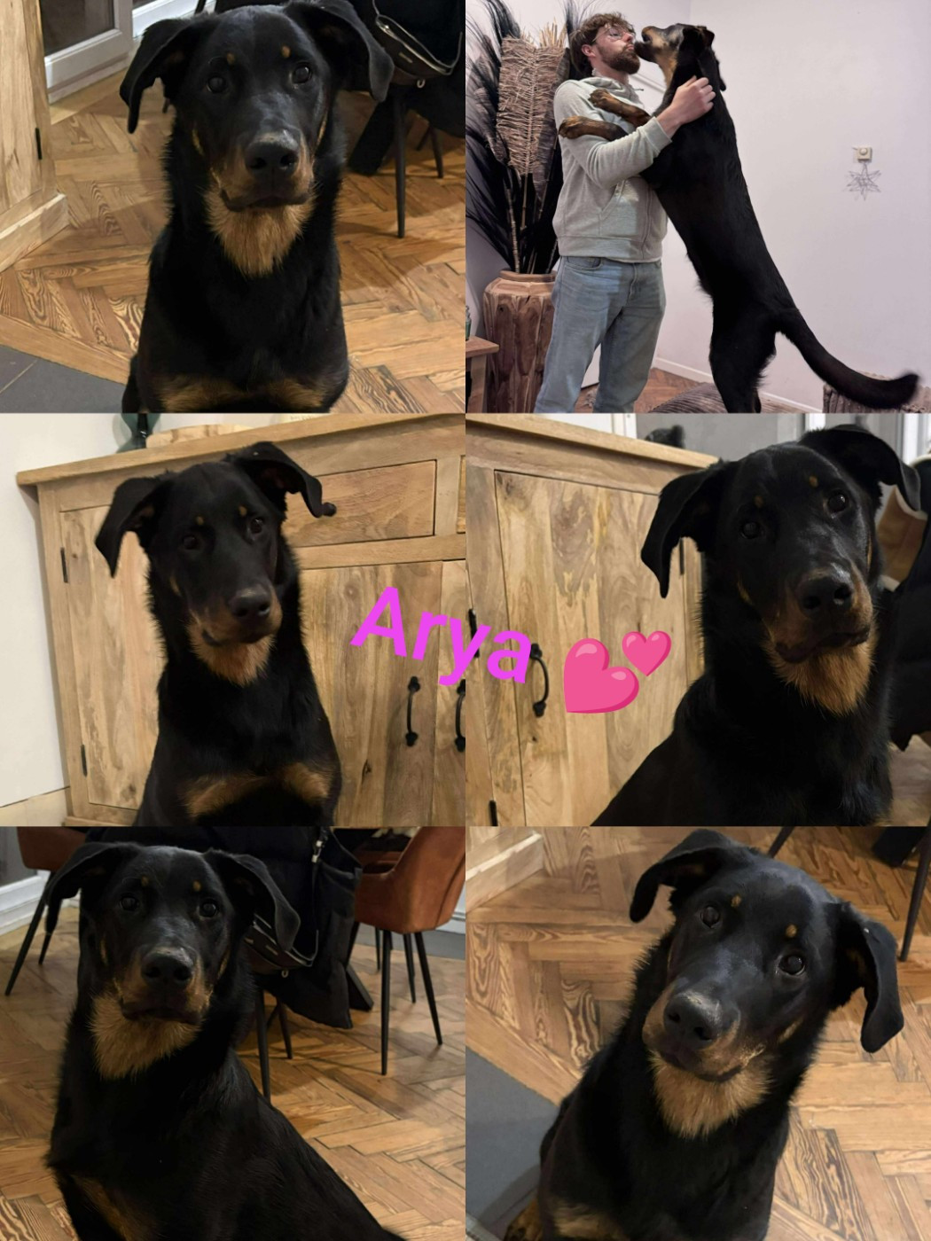 6 mois pour les bébés