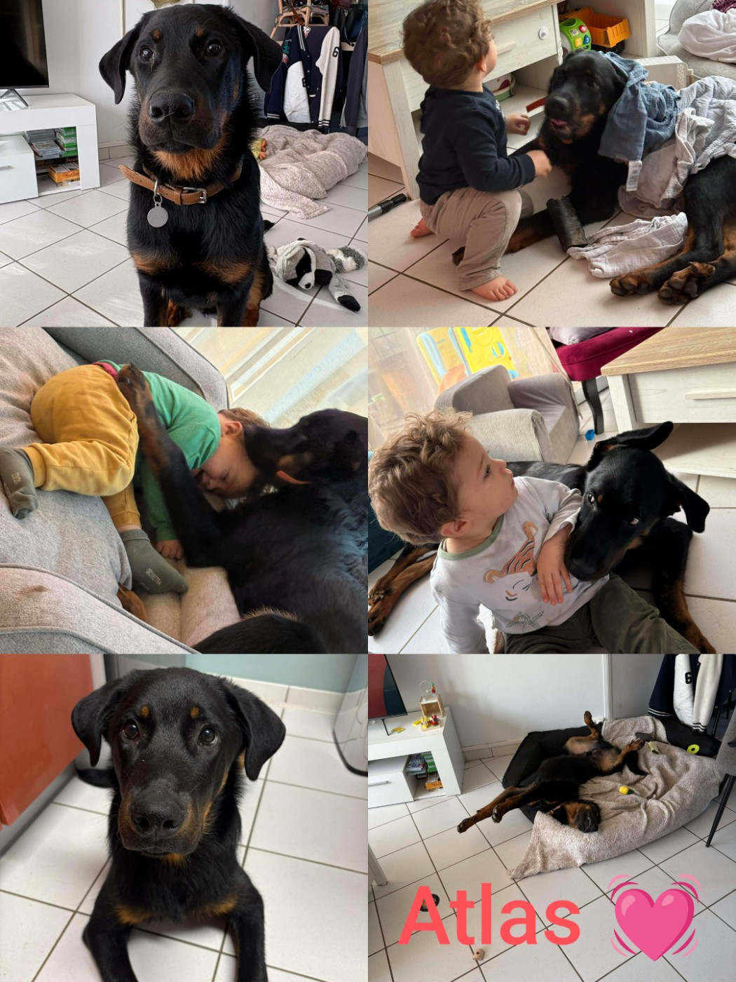 6 mois pour les bébés