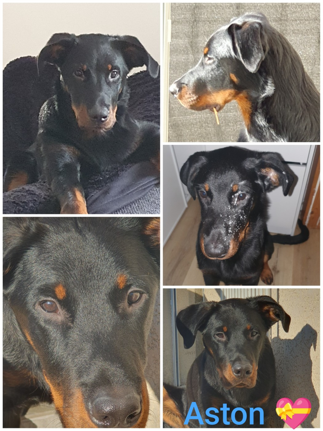 6 mois pour les bébés